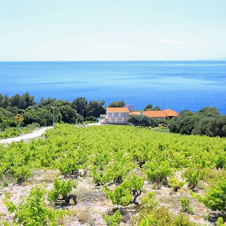 Robinson Danica 1 * Gornji Dingac