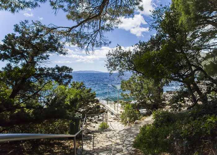 Robinson Danica 1 * Gornji Dingač